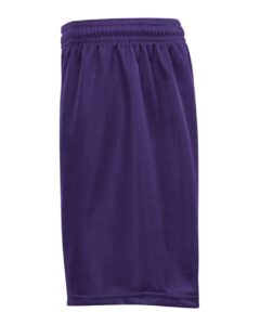 Badger 7239 Men’s Mini Mesh 9” Inseam Shorts – Purple (side)