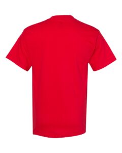 Hanes 5280 Unisex Essential-T T-Shirt – Athletic Red (back)