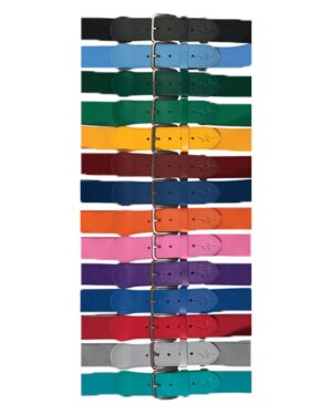 Alleson Athletic 3BBY Youth Baseball Belt 1.5 Width