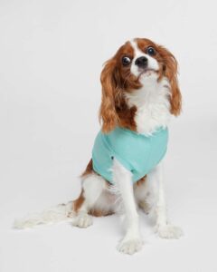 Doggie Skins 3902 Doggie Tank – Chill (on model)